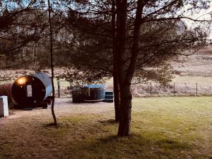 Stara Sikorska Huta的住宿－Cosy Cabin - domek na Kaszubach z sauną, balią i basenem，田野中的一棵树和一顶帐篷