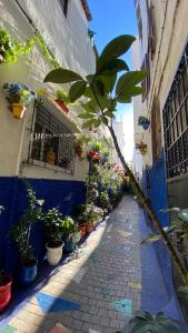 une ruelle étroite avec des plantes en pot sur le côté d'un bâtiment dans l'établissement Dar Bennis médina, à Rabat