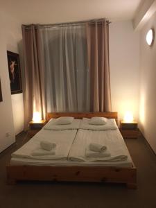 シュツァブニツァにあるApartamenty Janのベッドルーム1室(大型ベッド1台、ランプ2つ付)