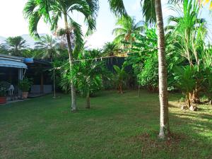 a yard with palm trees and a house at Villa SUNESIS Lamentin in Lamentin