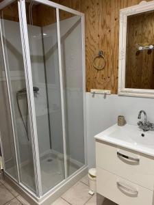 La salle de bains est pourvue d'une douche et d'un lavabo. dans l'établissement Maison Lac du Der, à Giffaumont
