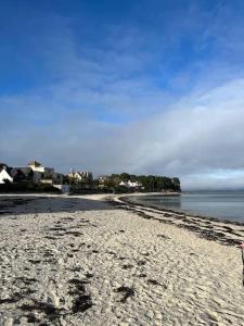 einen Sandstrand mit Häusern im Hintergrund und dem Meer in der Unterkunft Appartement T2 - port d'Orange in Saint-Pierre-Quiberon