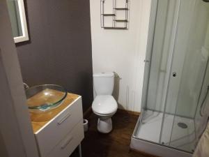 W łazience znajduje się toaleta i przeszklony prysznic. w obiekcie Chez Lorette w mieście Mauzé-sur-le-Mignon