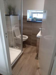 a bathroom with a toilet and a glass shower door at Vroeleneind in Noorbeek