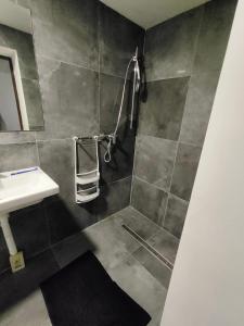 a bathroom with a shower and a sink at Apartmány Na Cestě in Desná