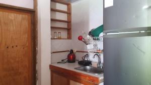 eine Küche mit einer Spüle und einem Kühlschrank in der Unterkunft APARTO-STUDIO JUNTO AL MAR Blue Lizard Studio in Providencia