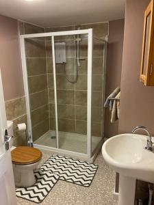 La salle de bains est pourvue d'une douche, de toilettes et d'un lavabo. dans l'établissement Comfy and welcoming 2 bedroom Annex., à Padstow