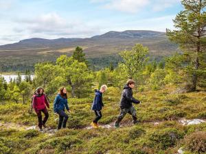 a group of children walking on a hill at Holiday home IDRE IV in Idre