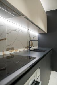Kuchnia lub aneks kuchenny w obiekcie Luxury Apartment Contesa