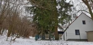 a white house and trees in the snow at Forest gate Vendégház in Mátraszentimre