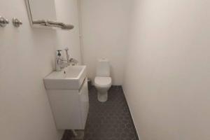 ein Badezimmer mit einem weißen WC und einem Waschbecken in der Unterkunft Cellar Apartment in Vaasa in Vaasa