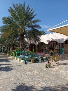 ośrodek z palmą i basenem w obiekcie Valley CLIFF INN w mieście Al Jināh