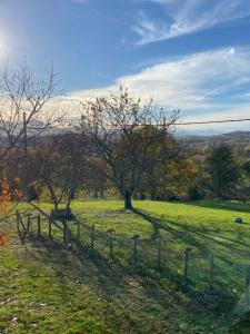 a field with two trees and a fence at Studio dans ferme en rénovation in Touille