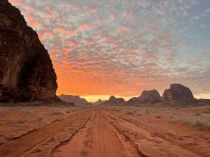 a dirt road in the middle of a desert at golden day in Wadi Rum
