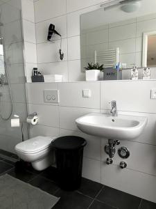 a bathroom with a toilet and a sink at Business Apartment in CityPark in Karlsruhe