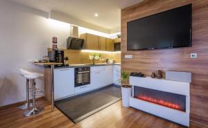 a kitchen with a fireplace and a tv on a wall at Apartment Panorama 35C in Donovaly