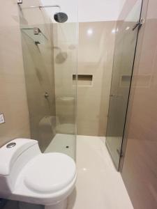 La salle de bains est pourvue de toilettes et d'une douche en verre. dans l'établissement Hotel Overland, à Paracas