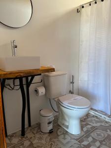 a bathroom with a toilet and a sink and a mirror at La Posada del Minero in Minas de Corrales