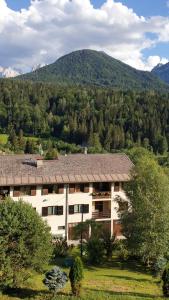 a building with a mountain in the background at Alessandra in Fusine in Valromana