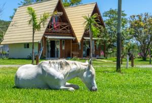 um cavalo branco deitado na relva em frente a uma casa em Villa Park Chalés - A sua fazendinha ao lado do Beto Carrero em Penha