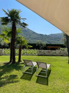 zwei Stühle im Gras neben einer Palme in der Unterkunft Residence Verdeblu in Arco