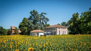 a house in the middle of a field of sunflowers at Charmante Chambre d’hôtes Domaine-de-la-terrasse SAS et Gite ANDA - Montauban, Alba-Sud (qualité) in Lacourt-Saint-Pierre