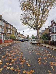 a street with a car parked on the side of the road at Lovely 1 Bed Flat in Trendy Peckham in London