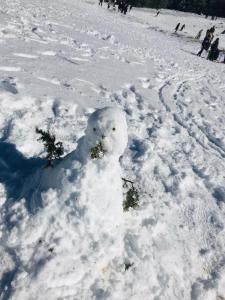 Un bonhomme de neige fait de neige dans l'établissement APPARTEMENT AMIRA iFRANE, à Ifrane