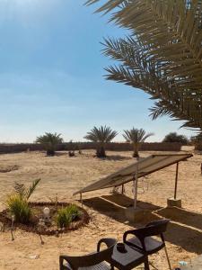 a bench and a table in the middle of the desert at Siwa Desert Home in ‘Izbat Ţanāţī