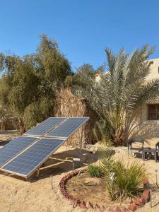 a group of solar panels sitting in a yard at Siwa Desert Home in ‘Izbat Ţanāţī