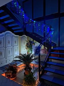 a staircase with blue lights and plants on it at B&B Il Portico in Praticello di Gattatico