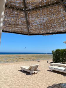two lounge chairs on a beach with the ocean at Sunny beach sharm el sheikh in Sharm El Sheikh