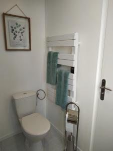 a bathroom with a white toilet and towels at Studio Nature, le calme à 2 pas du centre-ville in Arras +6 photos