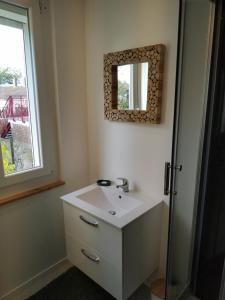 a bathroom with a sink and a mirror on the wall at Studio Nature, le calme à 2 pas du centre-ville in Arras