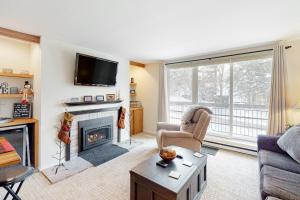 a living room with a fireplace and a tv at Mountainside 20 in Warren