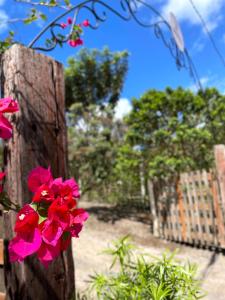 Billede fra billedgalleriet på Casa Mirante do Capão i Palmeiras
