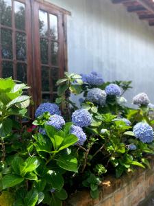 Billede fra billedgalleriet på Casa Mirante do Capão i Palmeiras
