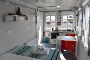 a small room with a bed and a kitchen at Container Departamento en Puerto Natales in Puerto Natales