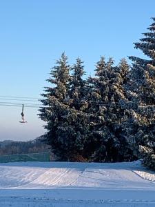 a bird flying over a snow covered field with trees at ALB-APARTMENT-WESTERHEIM Kurort in Westerheim