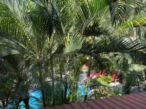 - Vistas a un complejo con palmeras y piscina en Anam Apartments, en Santa Teresa Beach