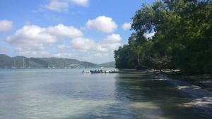 a body of water with trees on the shore at My Tiny Caritan- Petit coin de paradis- Bungalow de vacances- jardin, plage, piscine attenante in Sainte-Anne