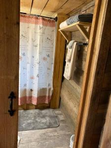 a room with a shower curtain in a house at 1850’s Settlers Cabin at Wethero Ridge & Theater in Hendersonville