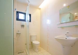 馬公市的住宿－理想窩民宿 Dream Wo B&B，一间带水槽、卫生间和镜子的浴室