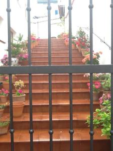 un escalier avec des plantes en pot et des fleurs dans l'établissement La casita, à Baños de la Encina