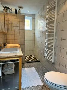 a bathroom with a sink and a toilet in it at Vakantiehuis centrum Schagen nabij zee / strand in Schagen