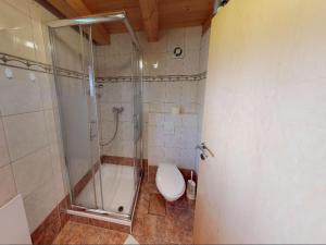 TrattenChalet in Bodensdorf near Lake Ossiach的带淋浴和卫生间的浴室 更多24张照片