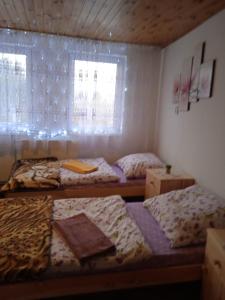 Železný BrodにあるUbytovani u Nadiiのベッド3台と窓が備わる客室です。