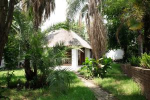 a house in the middle of a yard with palm trees at Mamma Mia House in Sandton
