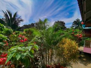 ชมจันทร์รีสอร์ท ไชยา Chomjan resort外面的花园