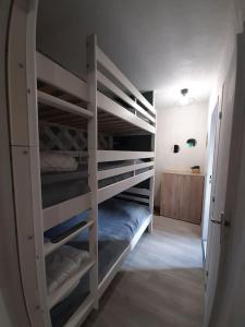 Ein Etagenbett oder Etagenbetten in einem Zimmer der Unterkunft Studio cosy et calme 495 bagnère de luchon